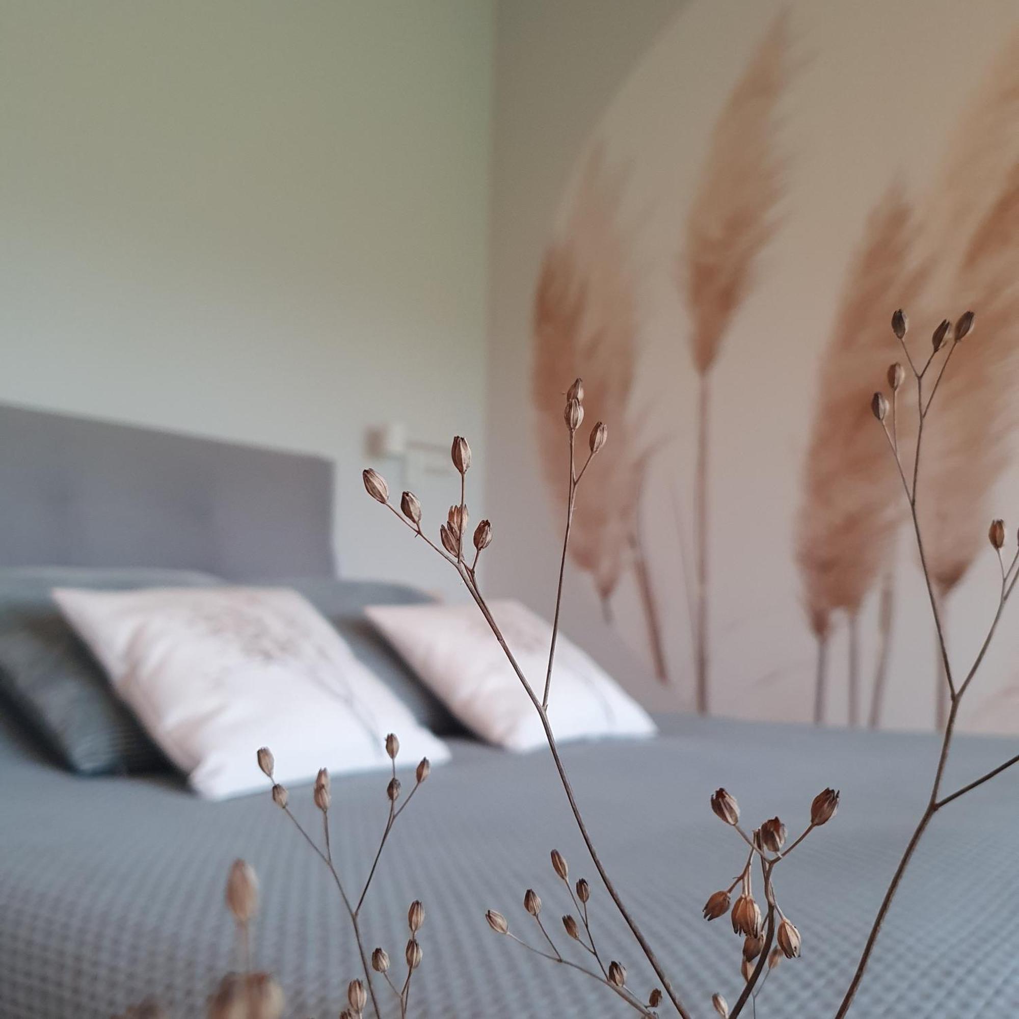 Bed and Breakfast De Buorkerij Tytsjerk Экстерьер фото